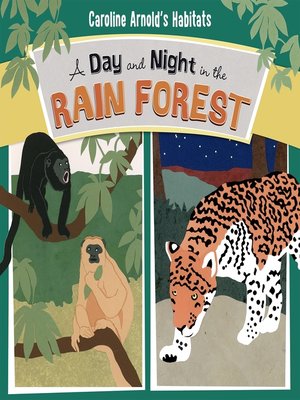 cover image of A Day and Night in the Rain Forest